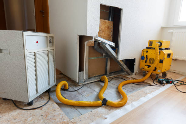 Best Biohazard Mold Removal  in Garfield Heights, OH
